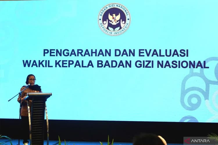 BGN Sebut Sasaran MBG Diperluas: Santri Salaf, Guru Honorer dan Kader PKK Juga Dapat