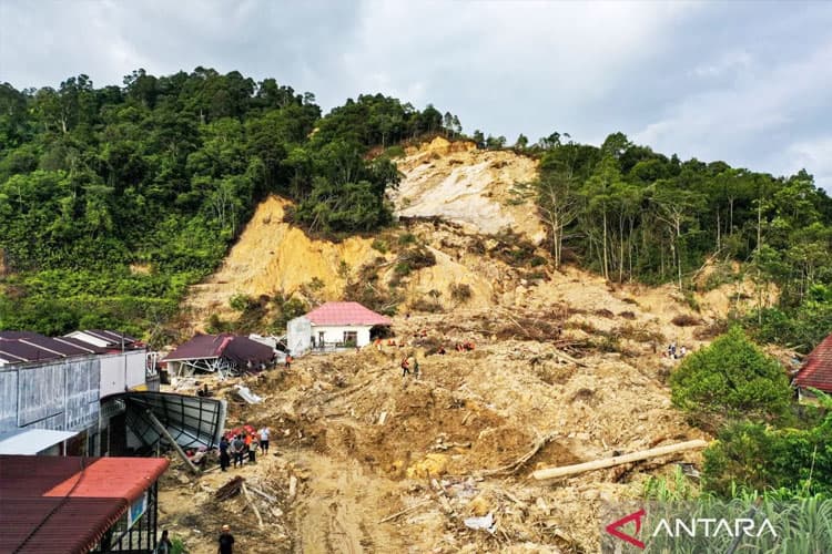 Kemenhut Segel 4 Konsesi Diduga Penyebab Banjir-Longsor di Sumatera, 8 Lagi Akan Disusul