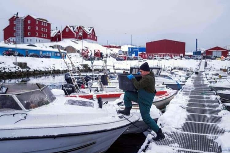 AS Tak Gentar Rebut Greenland Meski Eropa Perbanyak Pasukan