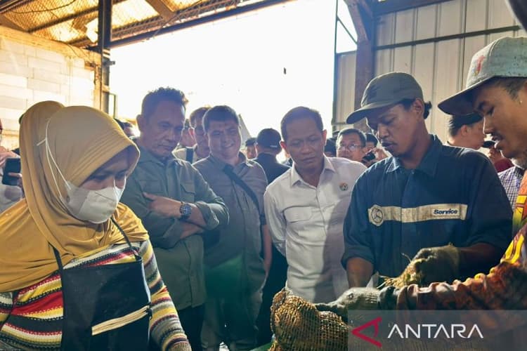 Menteri LH Dorong Tindakan Tegas bagi Pengelola Sampah Nakal di Bandung Raya
