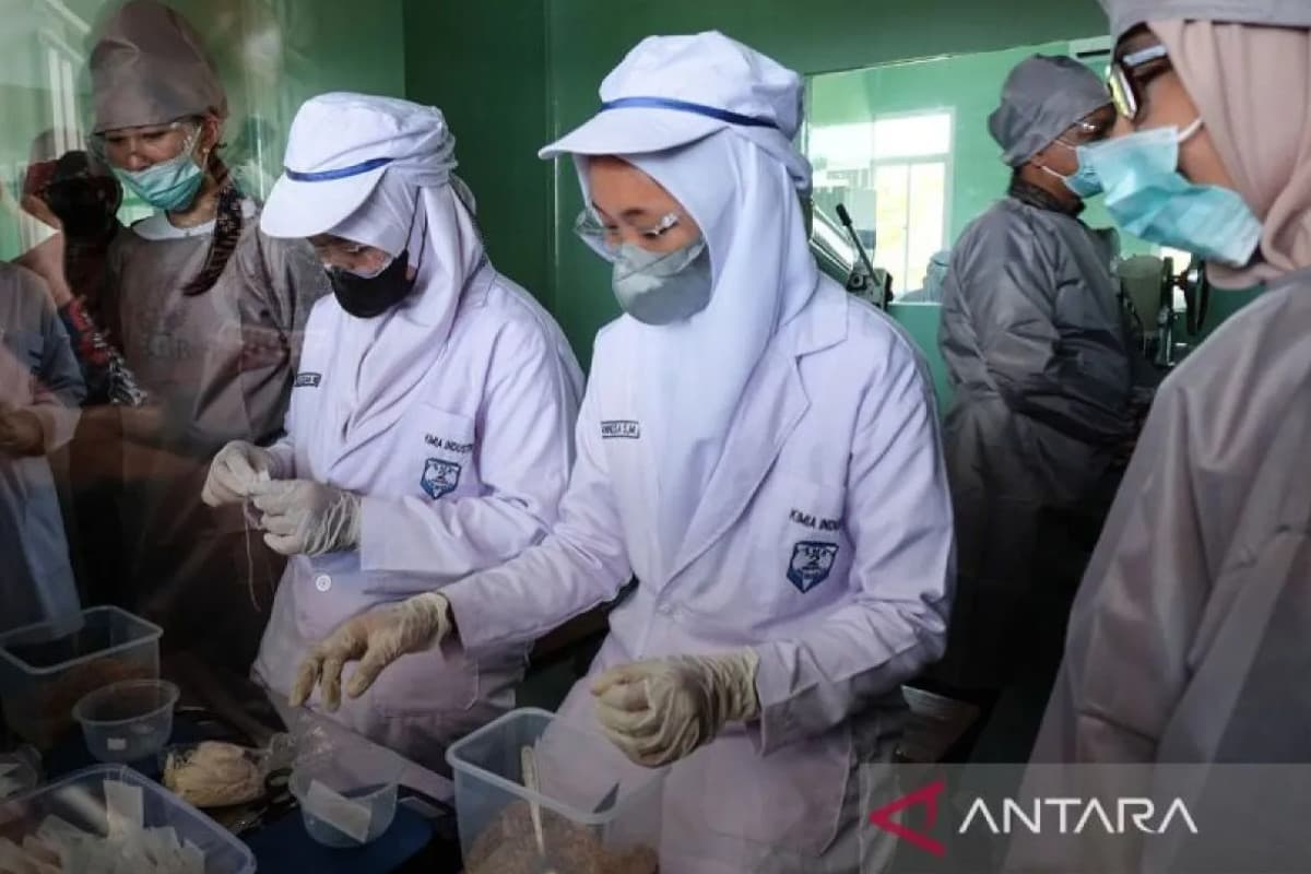 Kemendikdasmen dan Wadhwani Foundation Hadirkan JobReady, Perkuat Soft Skills Siswa SMK