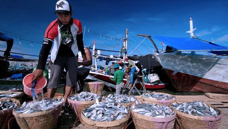 Komisi IV DPR RI Dorong Sertifikasi Sektor Perikanan Menjadi Satu Pintu