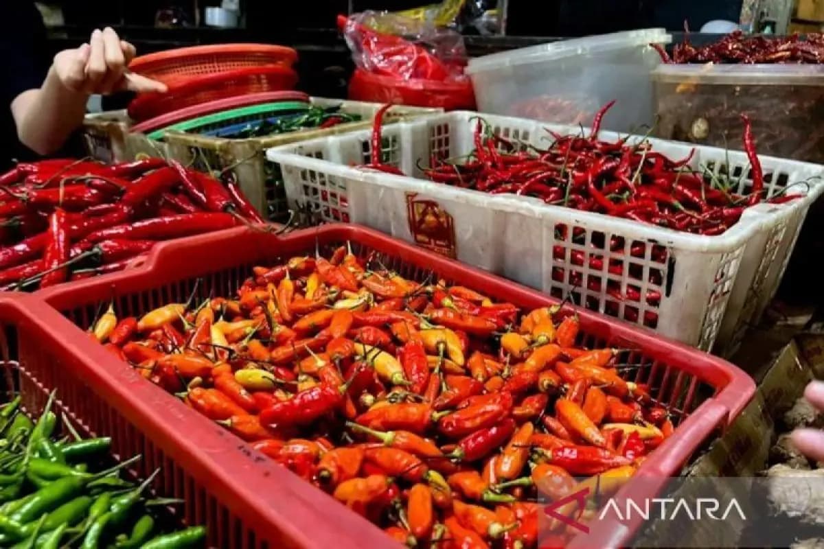 Harga Cabai Rawit Merah di Jakarta Tembus Rp80 Ribu per Kilogram