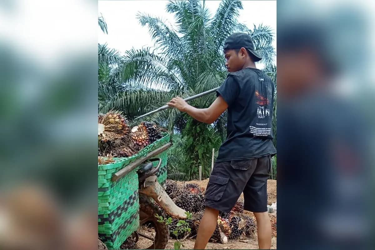 Ekspor SDA Satu Pintu Lewat BUMN, SPI: Momentum Ambil Alih Kendali Harga Sawit